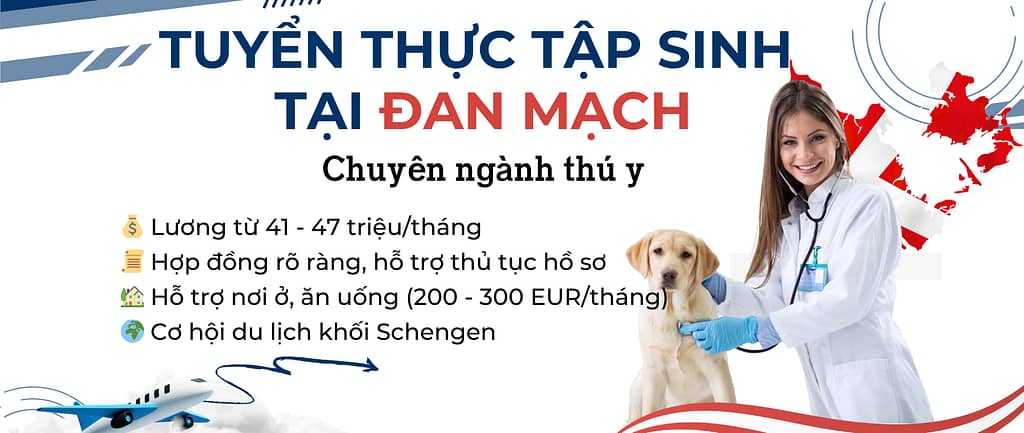 tuyển thực tập, du học canada chuyên ngành thú y liên hệ ngay với Dn5Sao Group