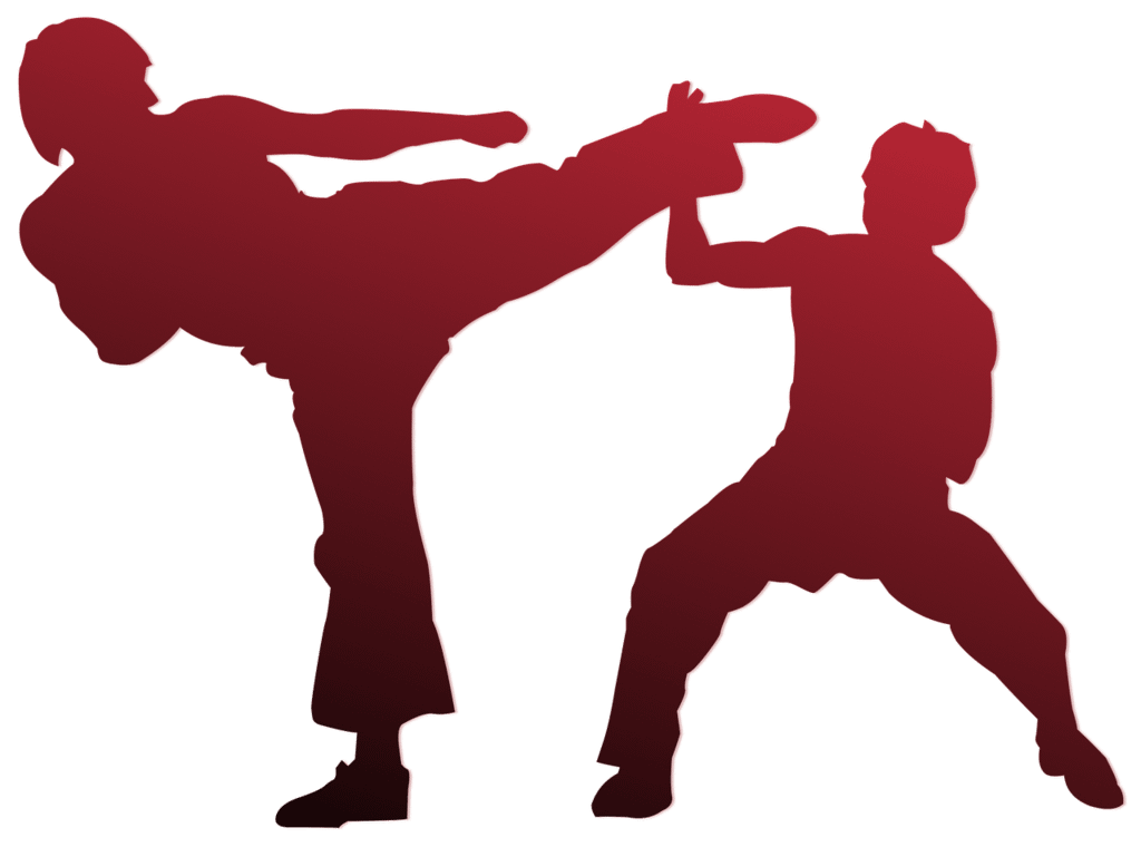 Chiêu sinh lớp võ Karate tại Dn5sao Group